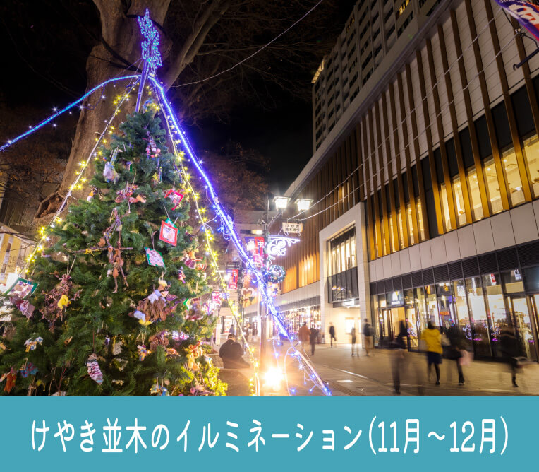 けやき並木のイルミネーション（11月〜12月）
