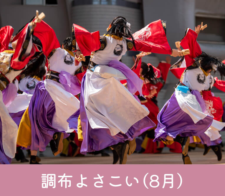 調布よさこい（8月）