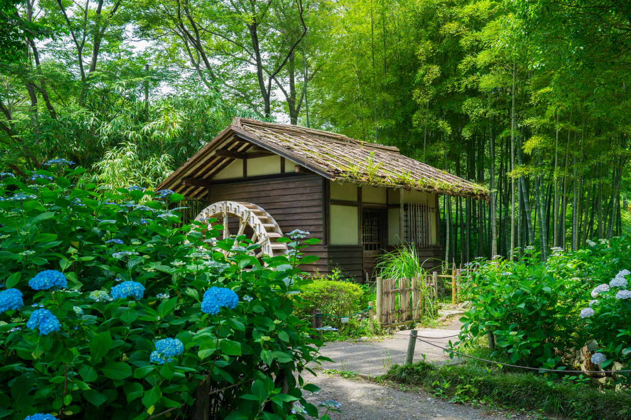 郷土の森公園