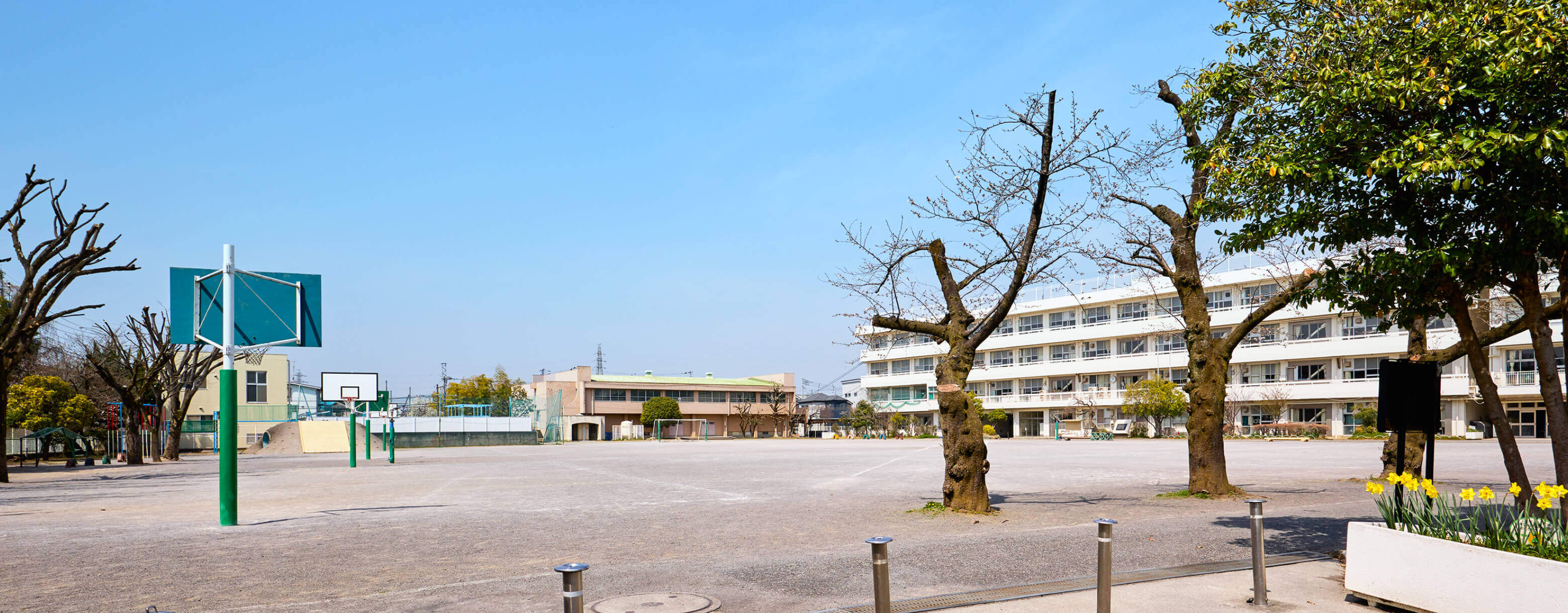 市立 小柳小学校①