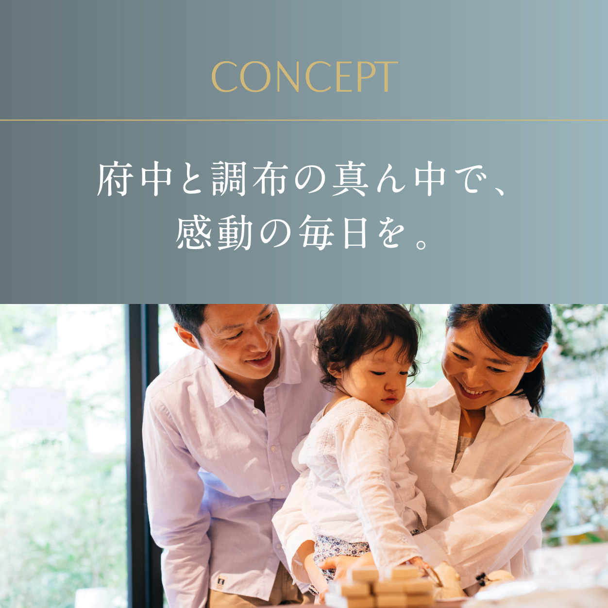 府中と調布の真ん中で、感動の毎日を。①