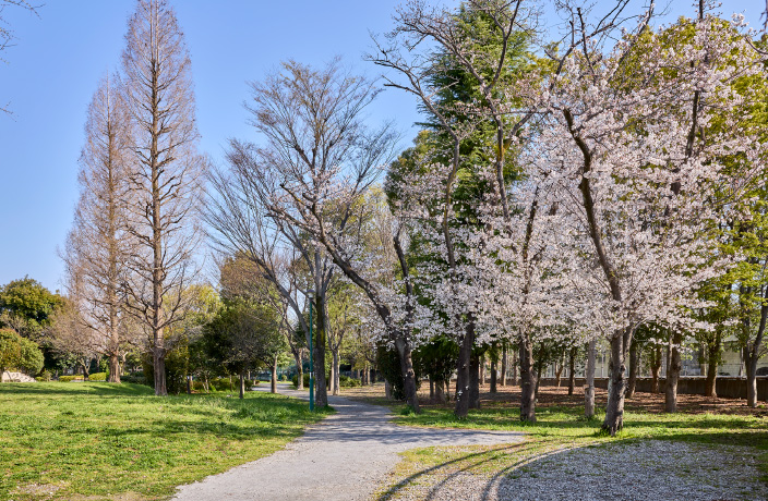小柳公園