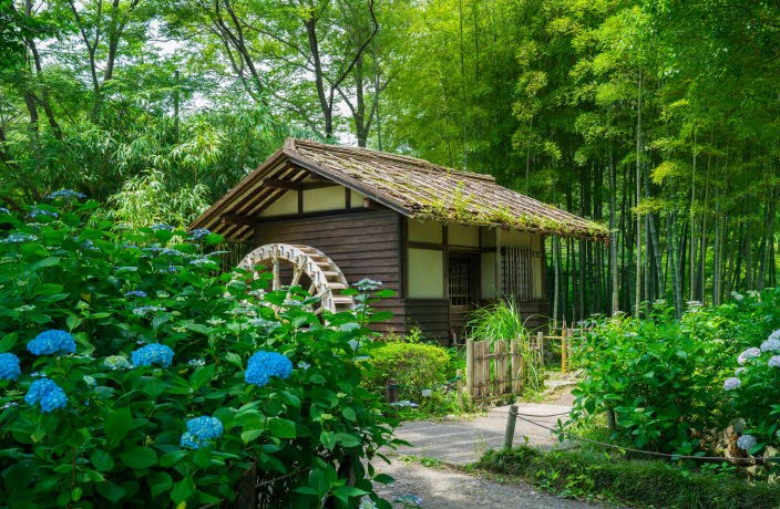 郷土の森公園