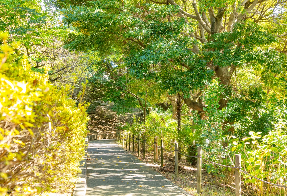 福田1号公園