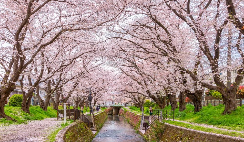 引地川