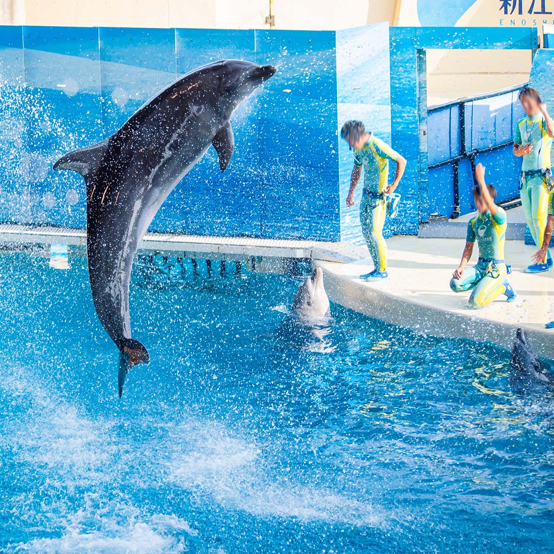 新江ノ島水族館