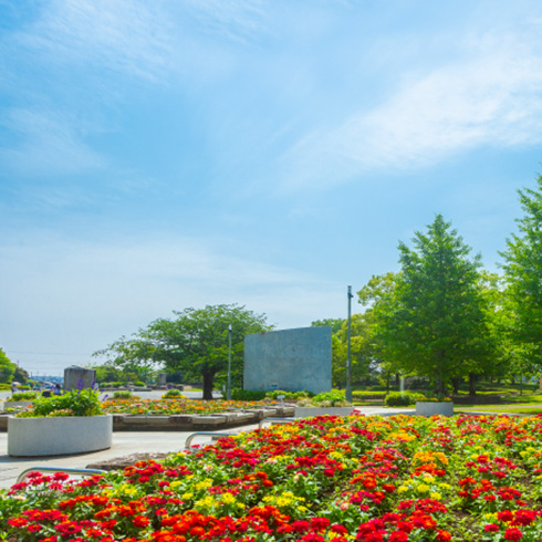 湘南台公園