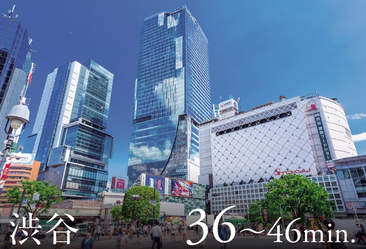 渋谷