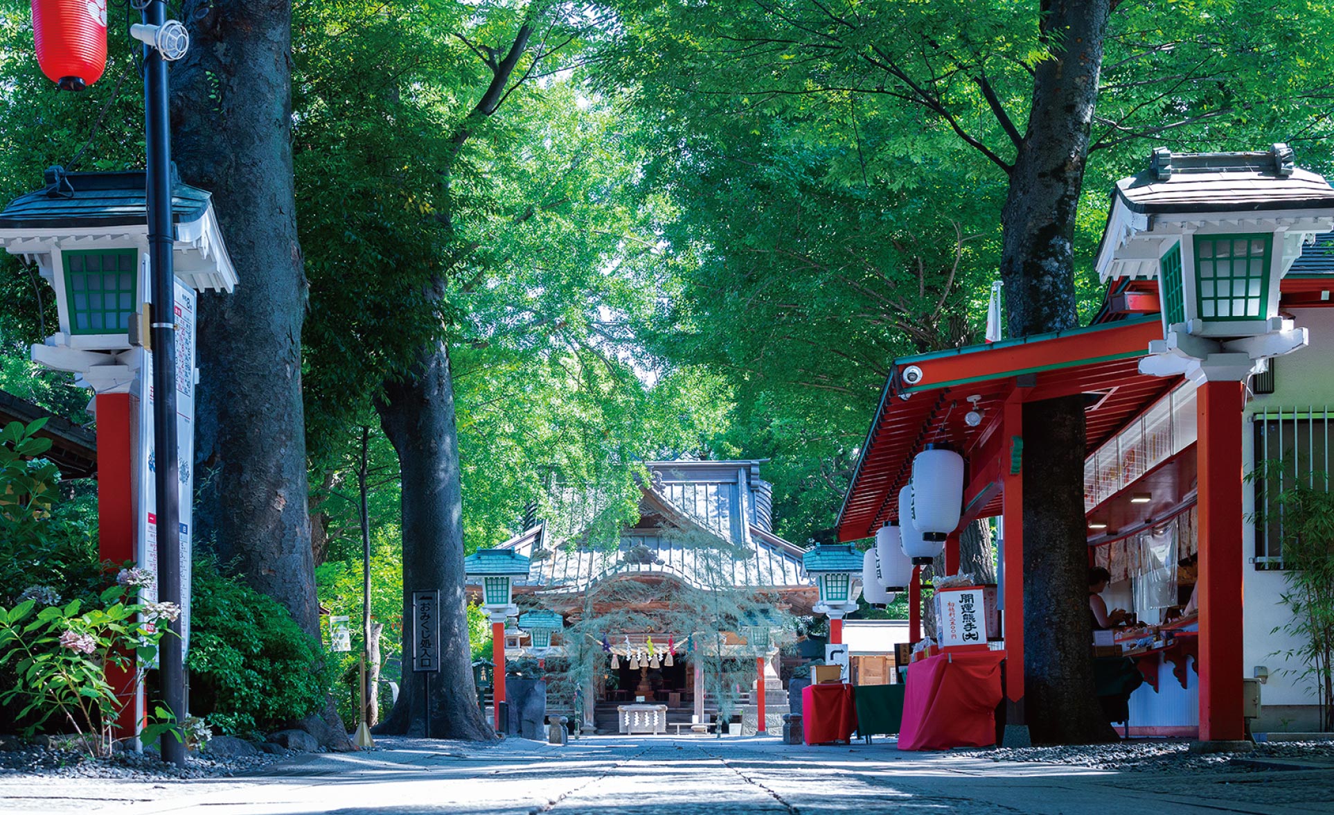 ⽥無神社