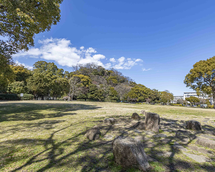 富岡総合公園（約770m・徒歩10分）