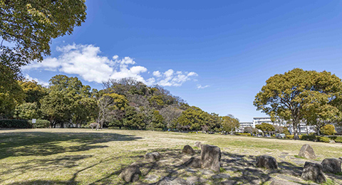 富岡総合公園（約770m・徒歩10分）