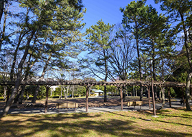 富岡八幡公園（約80m・徒歩1分）