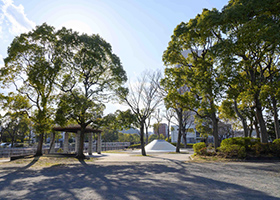 潮通り公園（約600m・徒歩8分）