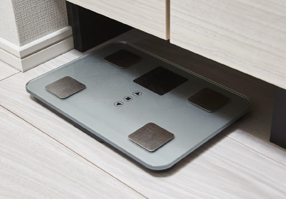 ヘルスメーター収納