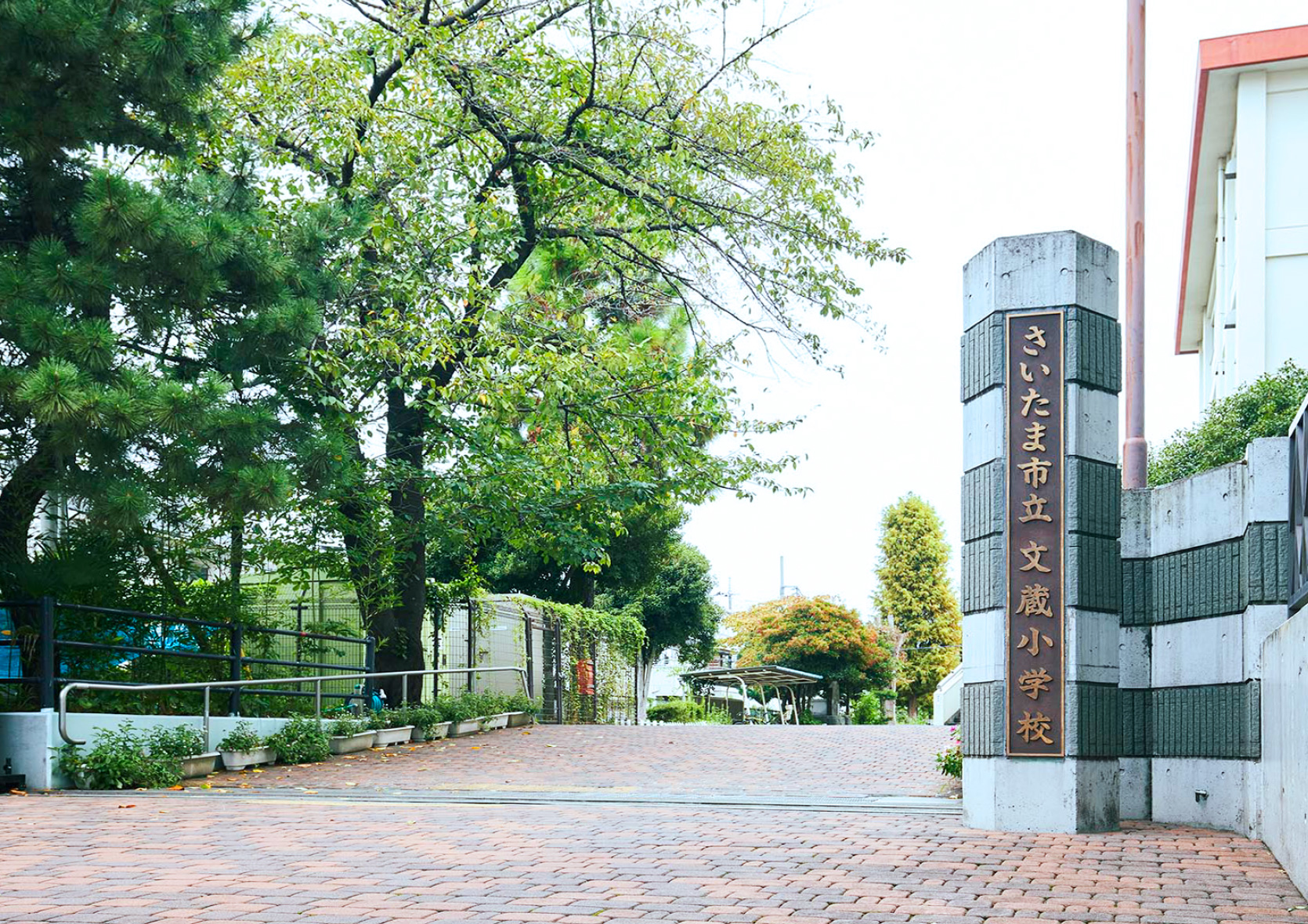 市立 文蔵小学校