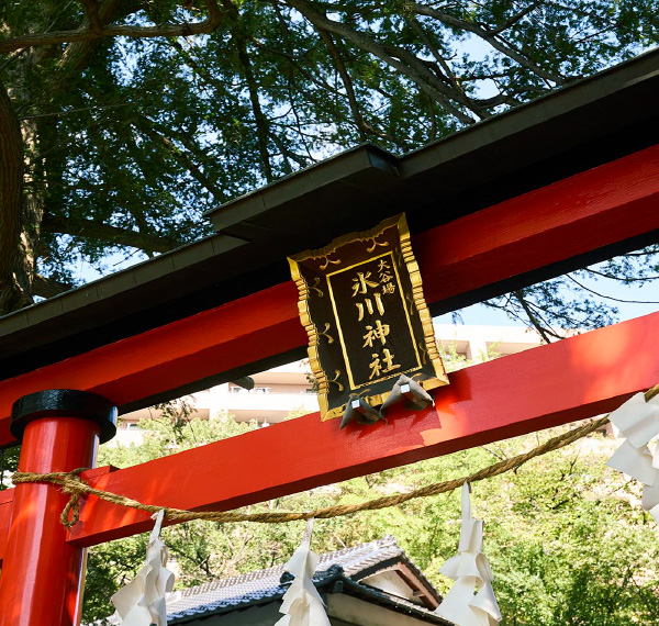 大谷場氷川神社